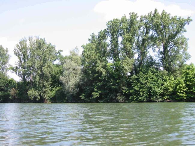 Promenade sur le Tarn (12)