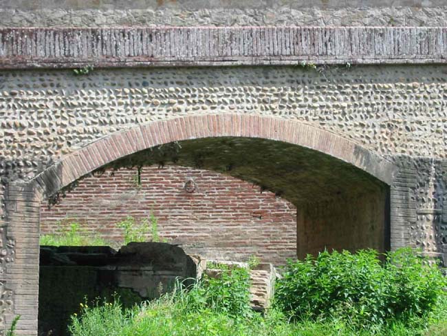 Promenade sur le Tarn (16)