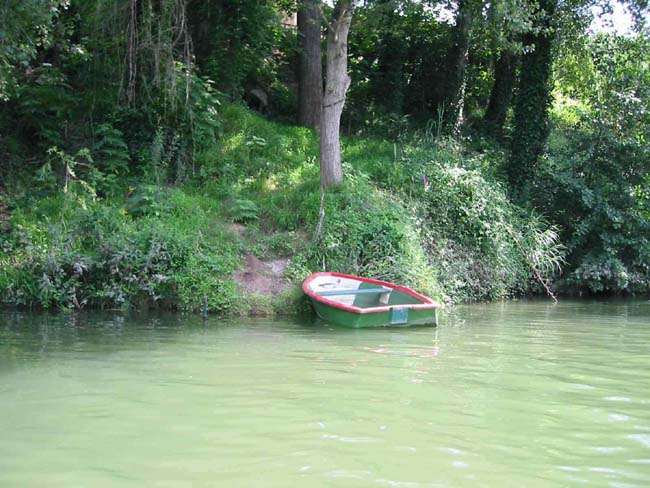 Promenade sur le Tarn (19)